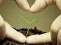 http://www.dreamstime.com/-image13918198