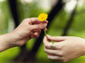 sharing