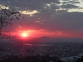 sam_9869